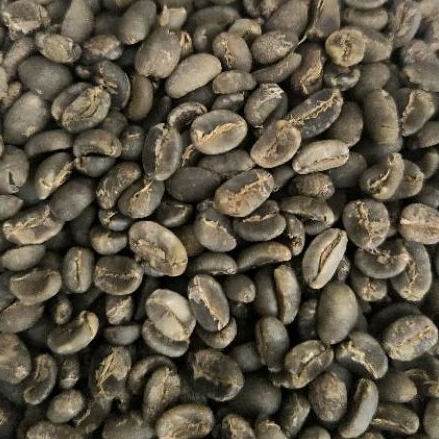 

Green Bean Papua Wamena Semi Wash Grade A