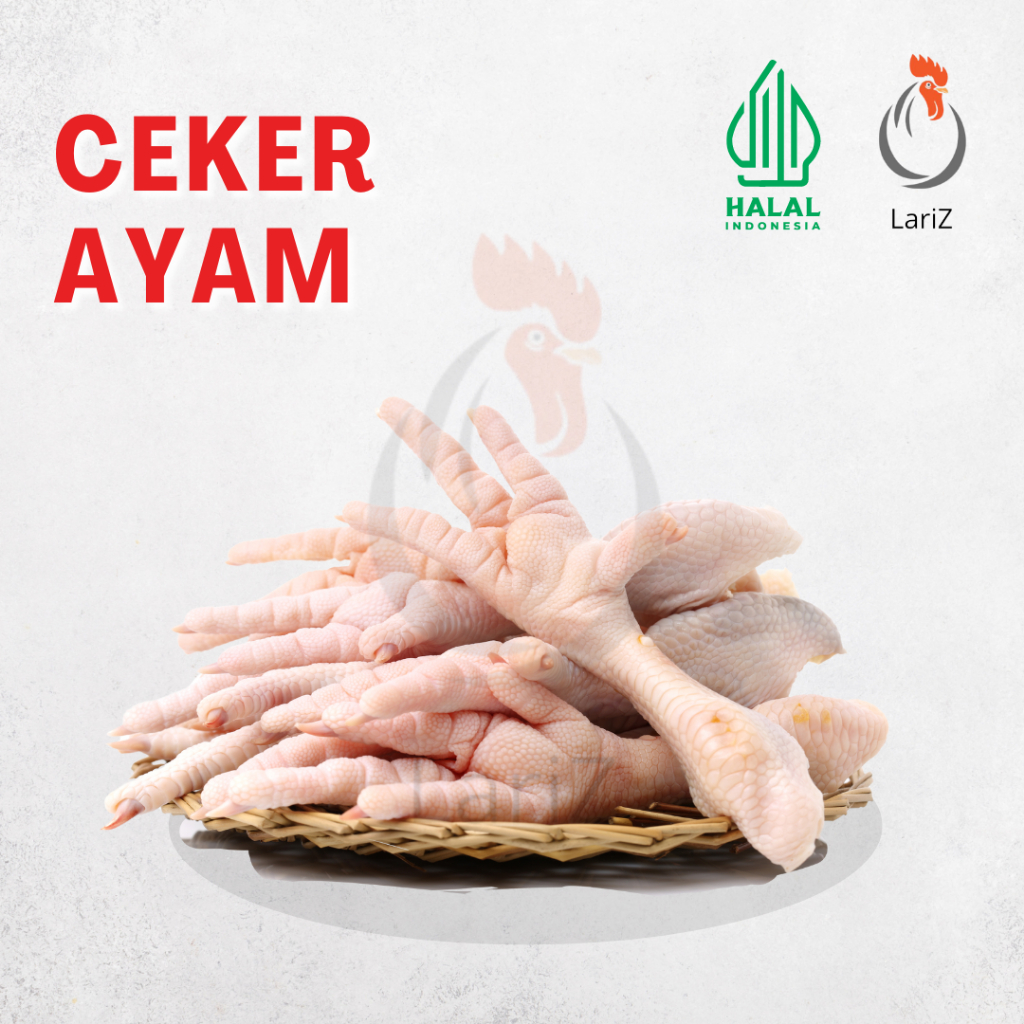 

Ceker Ayam Jumbo Bersih Segar 1Kg Halal