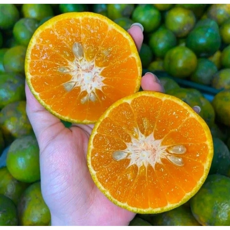 

Jeruk Peras Majalengka 1 kg