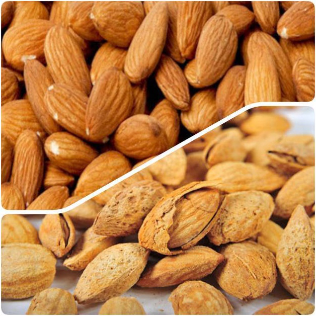 

PROMO BESAR Paket Almond Roasted 25gr Kulit creamyKupas Original