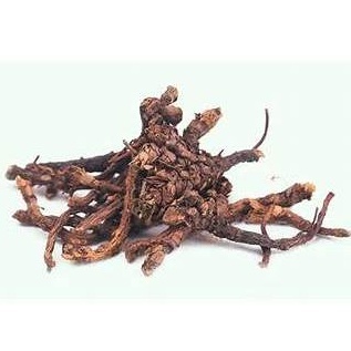 

[100gram] Hu Huang Lian / Rhizoma Picrorhizae - [ 胡黄连 ] - Figwortflower Picrorhiza Rhizome