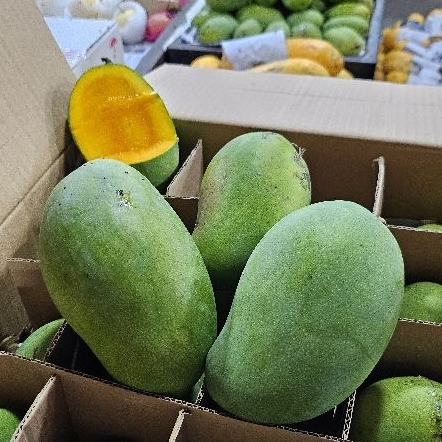 

Buah segar mangga harum manis alpukat 1kg