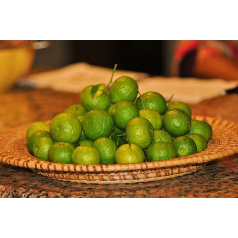 

jeruk limau 250 gram murah