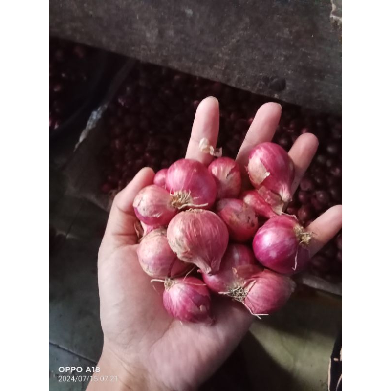 

Bawang Merah/Brambang jawa bamer ukuran sedang satu kilo