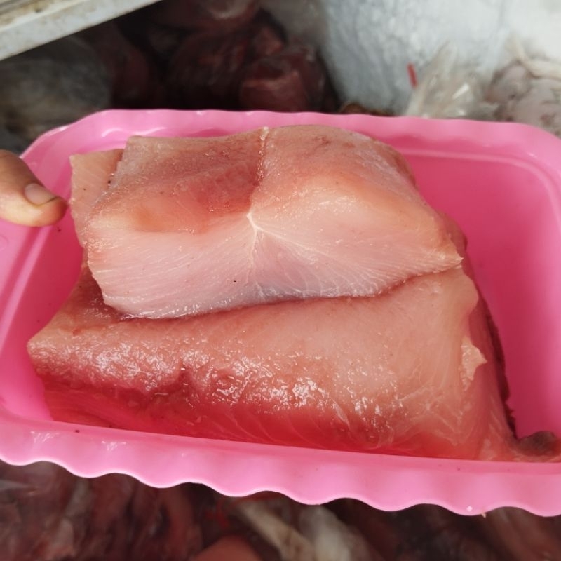 

Jual harga grosir ikan cucut 1 kg - 60 kg fresh frozen padang