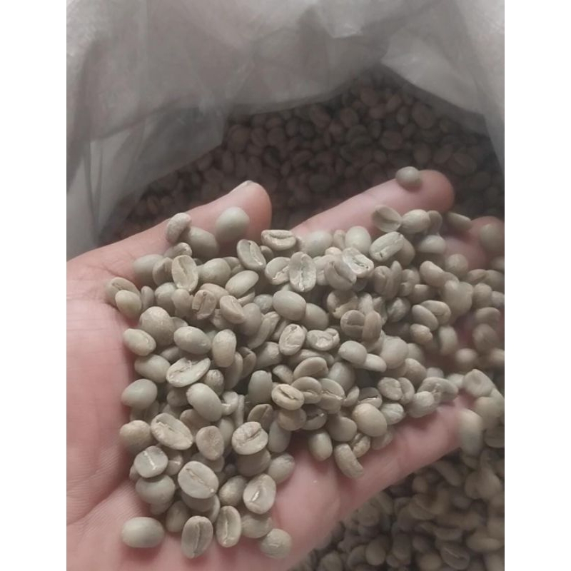 

kopi arabica semeru fullswash