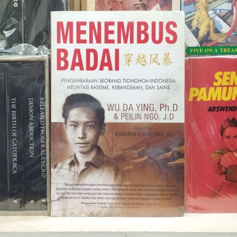 Menembus Badai - Wu Da Ying & Peilin Ngo