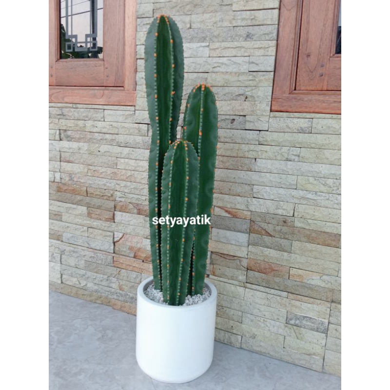 1 set kaktus vas teraso T-78 cm