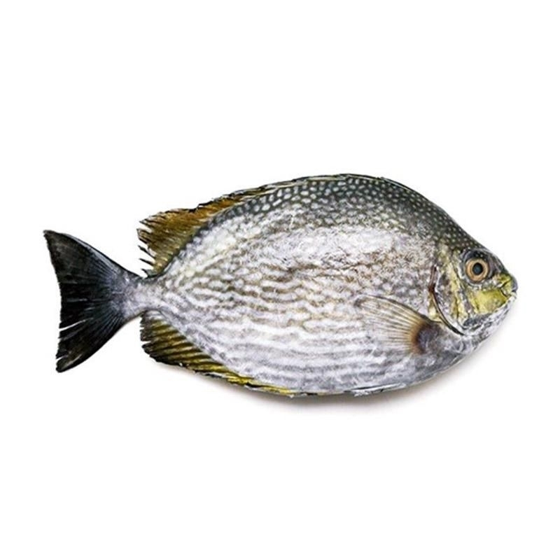 

ikan beronang 1kg