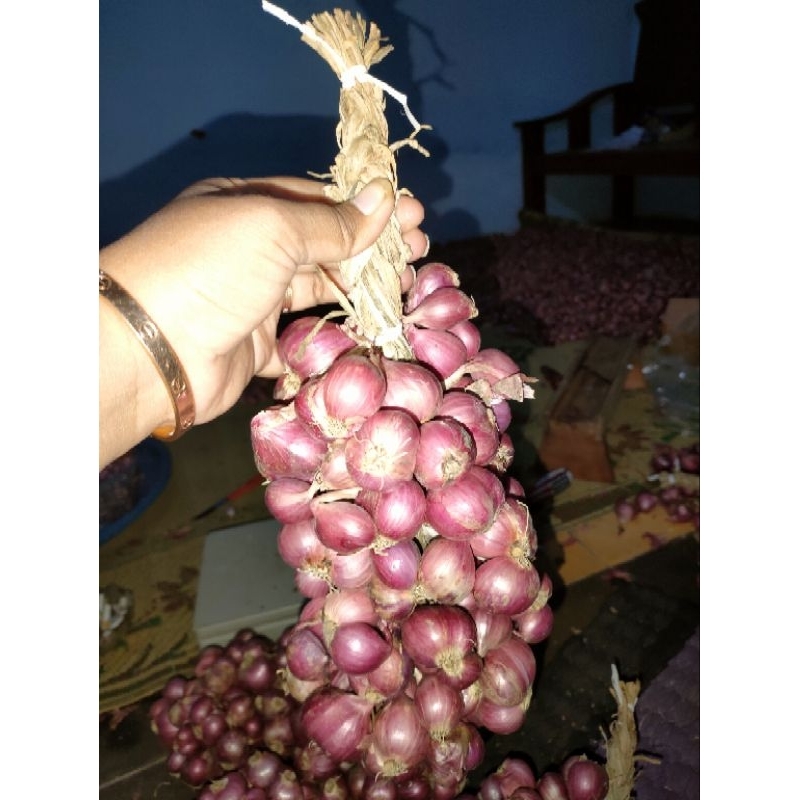 

Bawang merah daunan / ombyokan 1kg