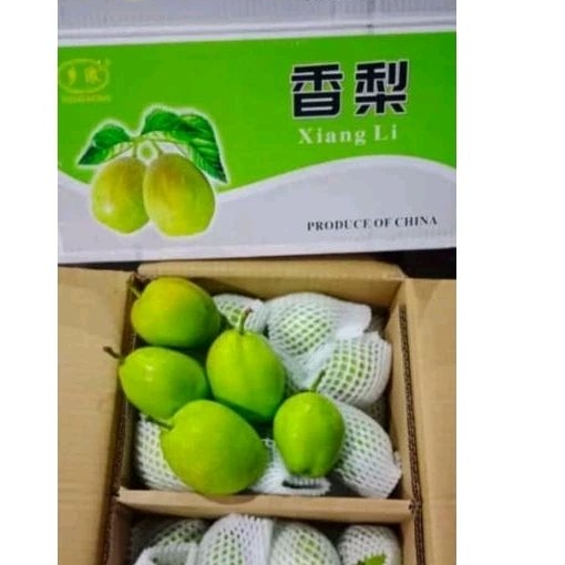 Buah Pear Xiang Li
