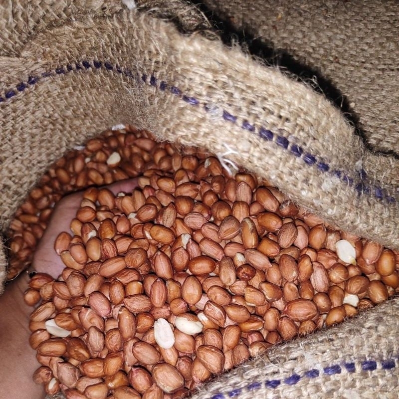 

POLOWIJO- Kacang india 1kg