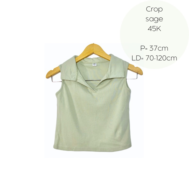 crop top kaos berkerah green sage hijau wanita pastel
