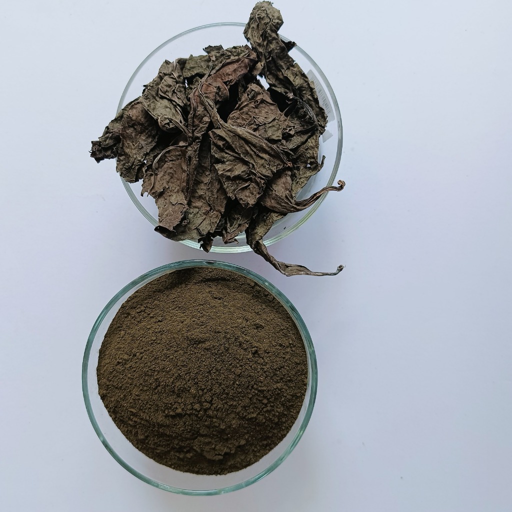 

Grosir 10 Kg Bubuk Daun Ungu - Kualitas Premium