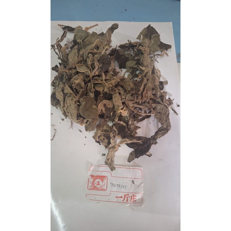 

300 G GR GRAM 白背叶 BAI BEI YE FOLIUM MALLOTUS APELTA