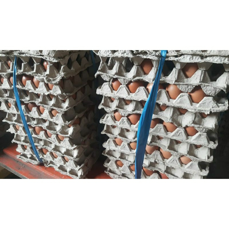 

GRA Telur Ayam Negeri Fresh Grade A 1kg Instan Aman