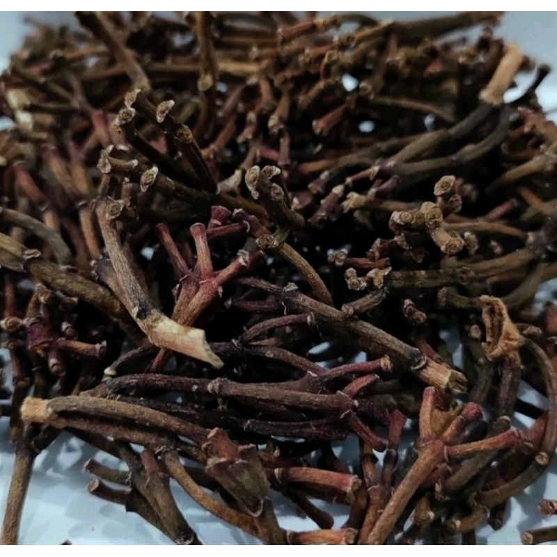 batang bunga cengkeh