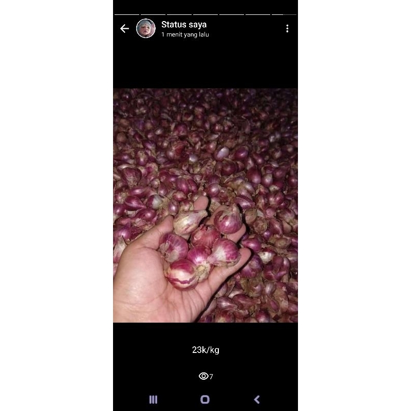 

Bawang merah