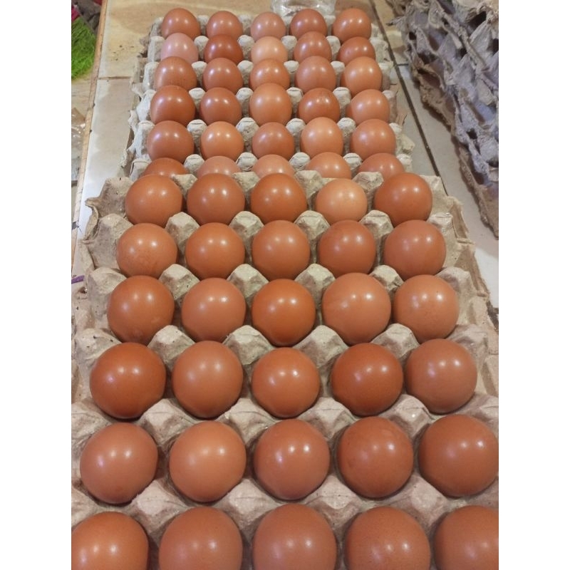 

telor ayam negri asli jawa