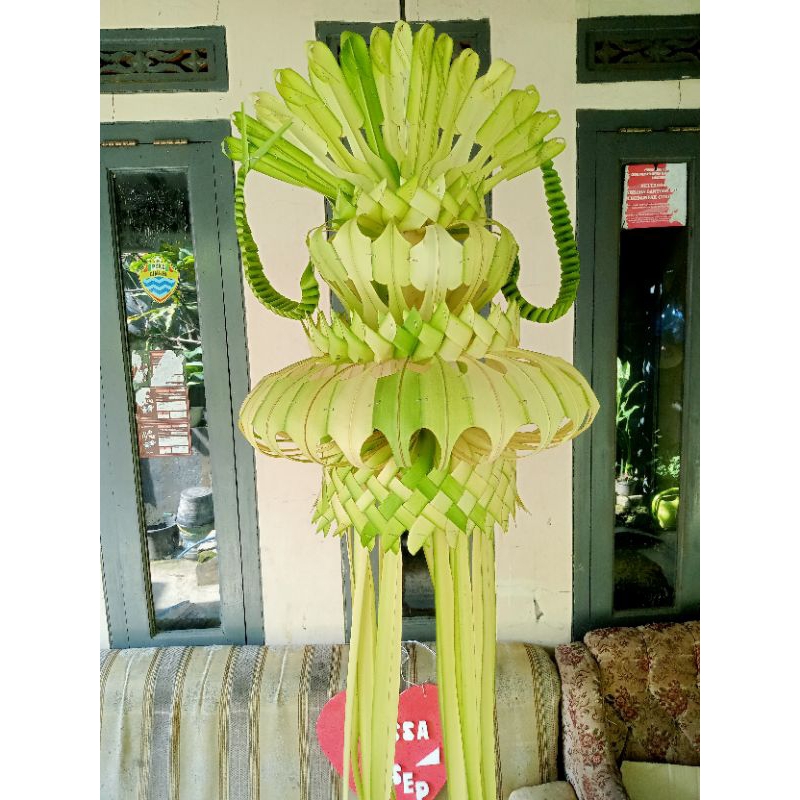 Janur kuning pernikahan/khitanan asli CIMAHI BDG PADALARANG