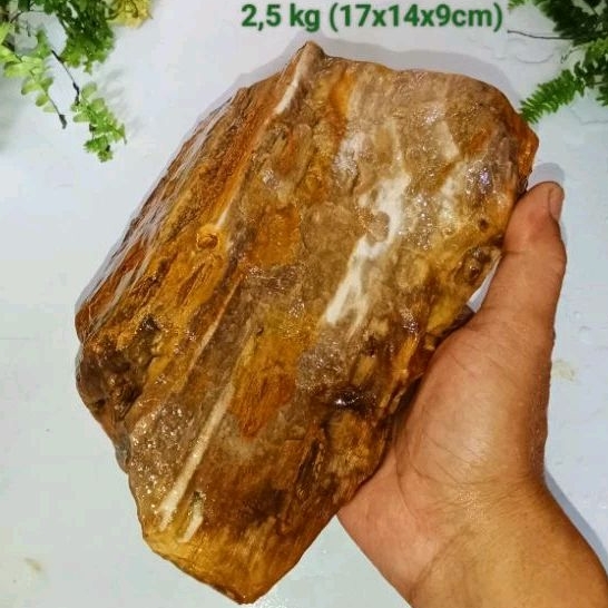 batu galih kelor kristal (497)