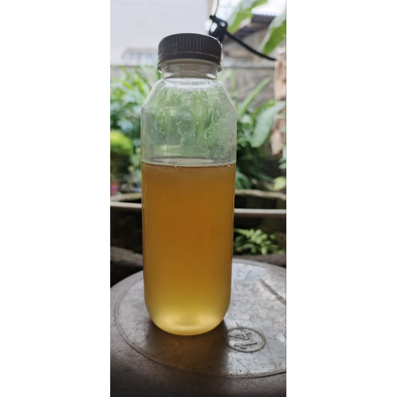 

Madu hutan asli dari sumatera jenis lebah APIS DORSATA berat NETTO 500GR
