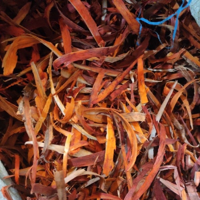 

SECANG SERUT SUPER ORIGINAL 500 GRAM