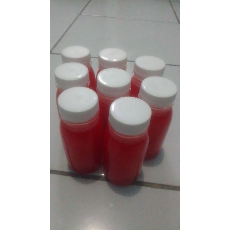 NEXTAR KHUSUS KONIN KING KONIN PIJANTUNG PISANG SEPAH RAJA DLL