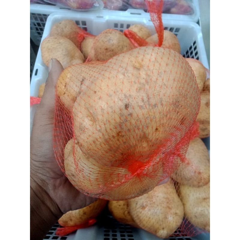 

kentang Dieng 500gr
