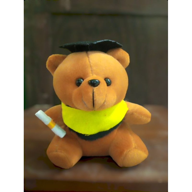 Boneka bear sarjana mini 15 cm buat bucket dan capit