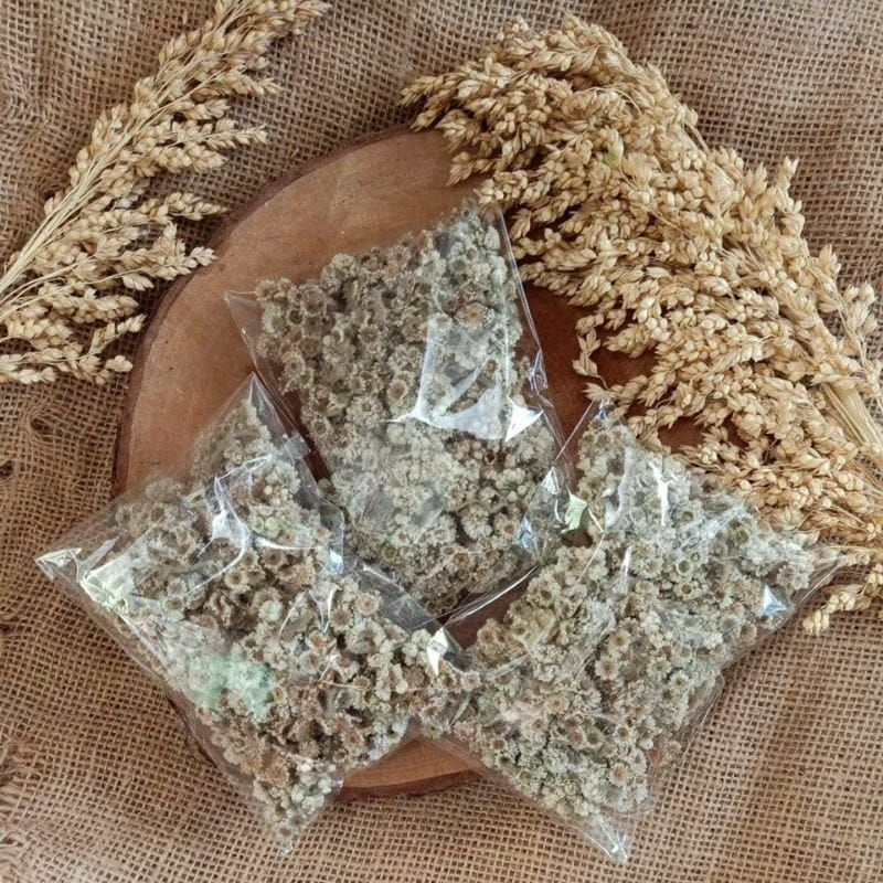 Bunga EDELWEIS Kering 10GR Bunga ABADI BAHAN BUKET Bunga Lawu Edelweis Bunga Kering Bunga Buket Bung