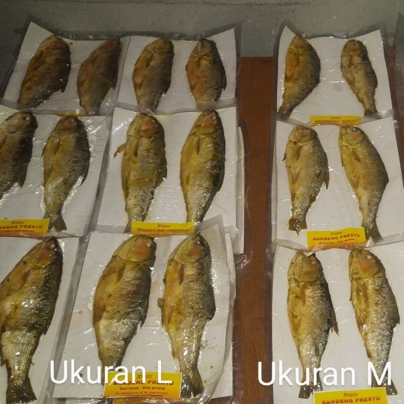 

Paket Triple pcs 6 ekor Size L plus sambal ijo Bandeng Presto asli kota bandeng Sidoarjo I Xpresto