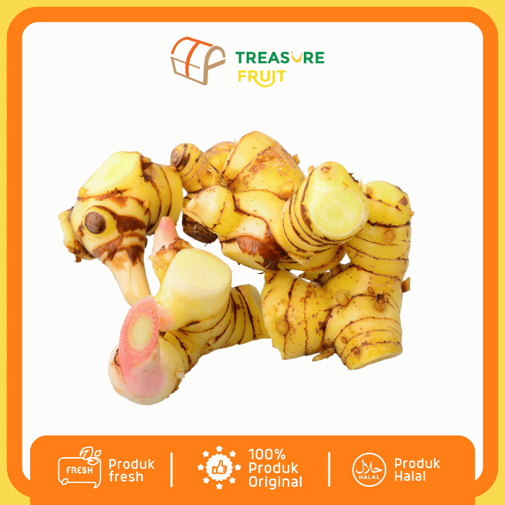 

LENGKUAS Kualitas Premium I Treasure Fruit - Fresh dan Organik