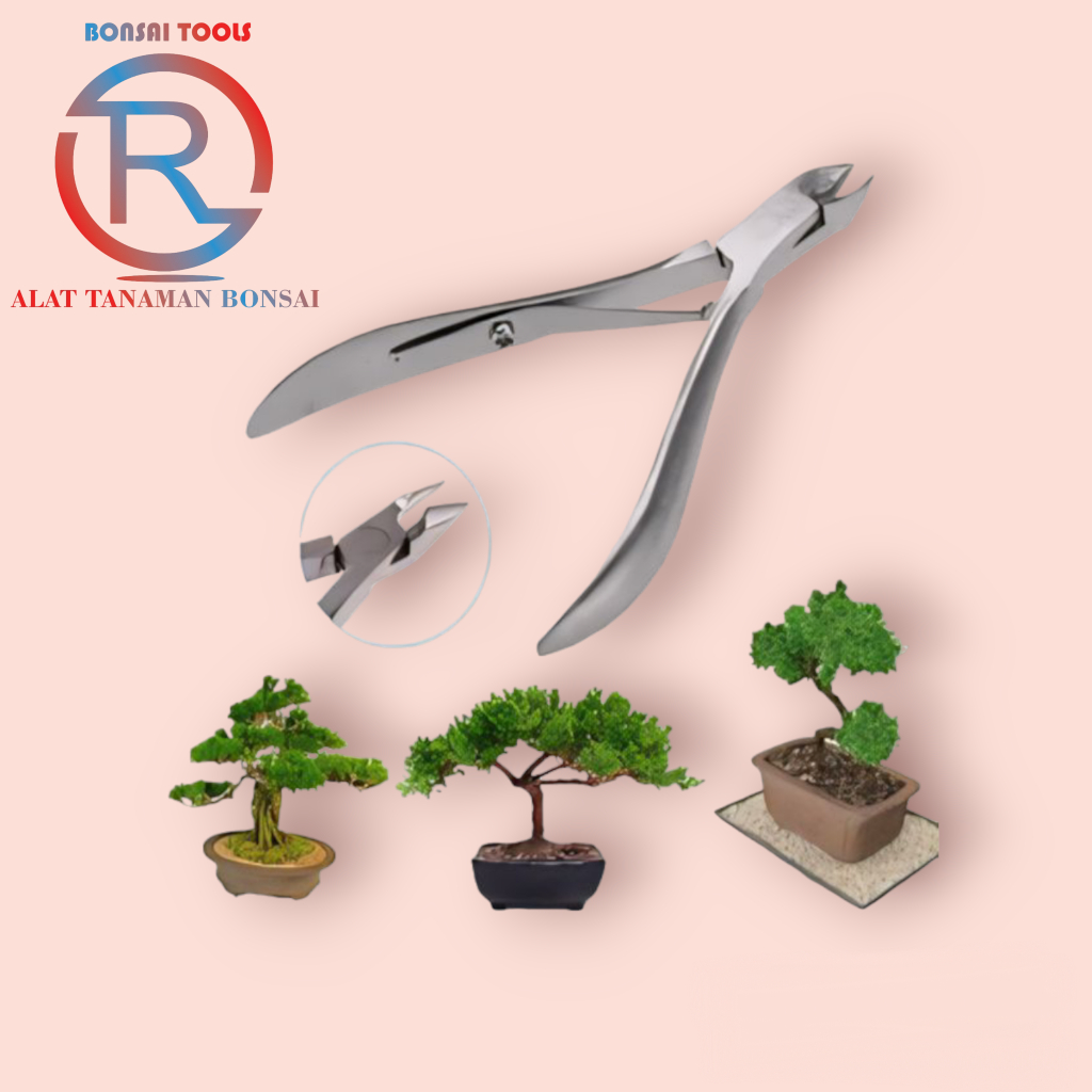 Gunting Tang Catok Bonsai Mame Shito Untuk Tangkai Kecil Bonsai Tang Serba Guna