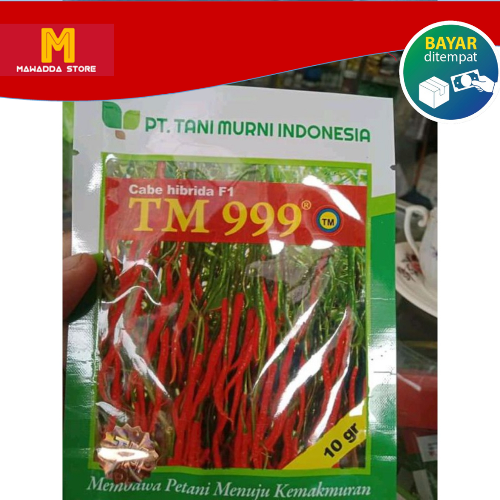 Benih Cabai Cabe Keriting Hibrida F1 TM 999