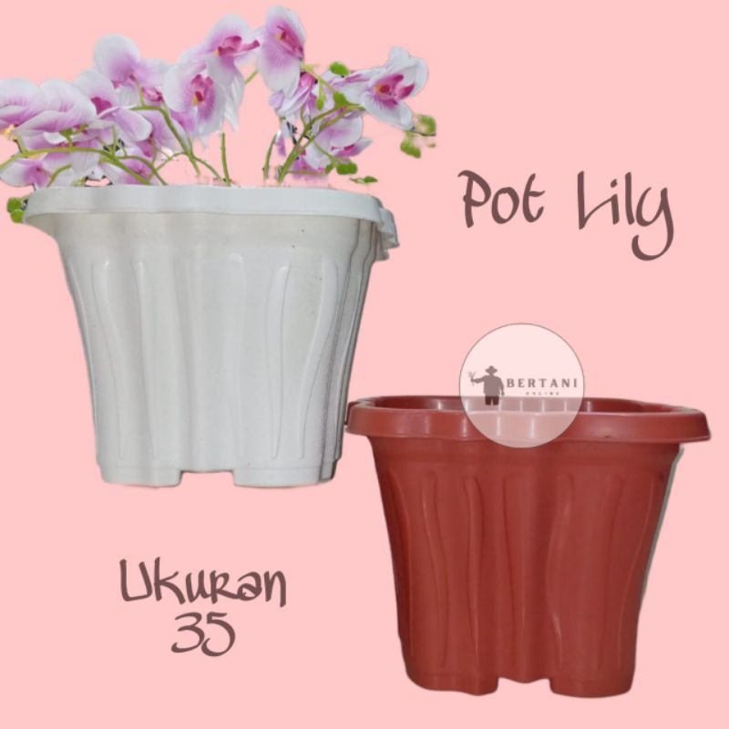 Pot Lily Ukuran 35 Budi Jaya Plastik