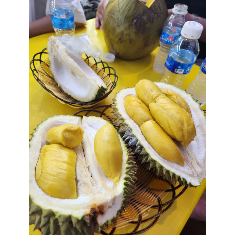 

Durian Sultan MUSANGKING kupas Asli Malaysia / Duren Musang king Asli Malaysia