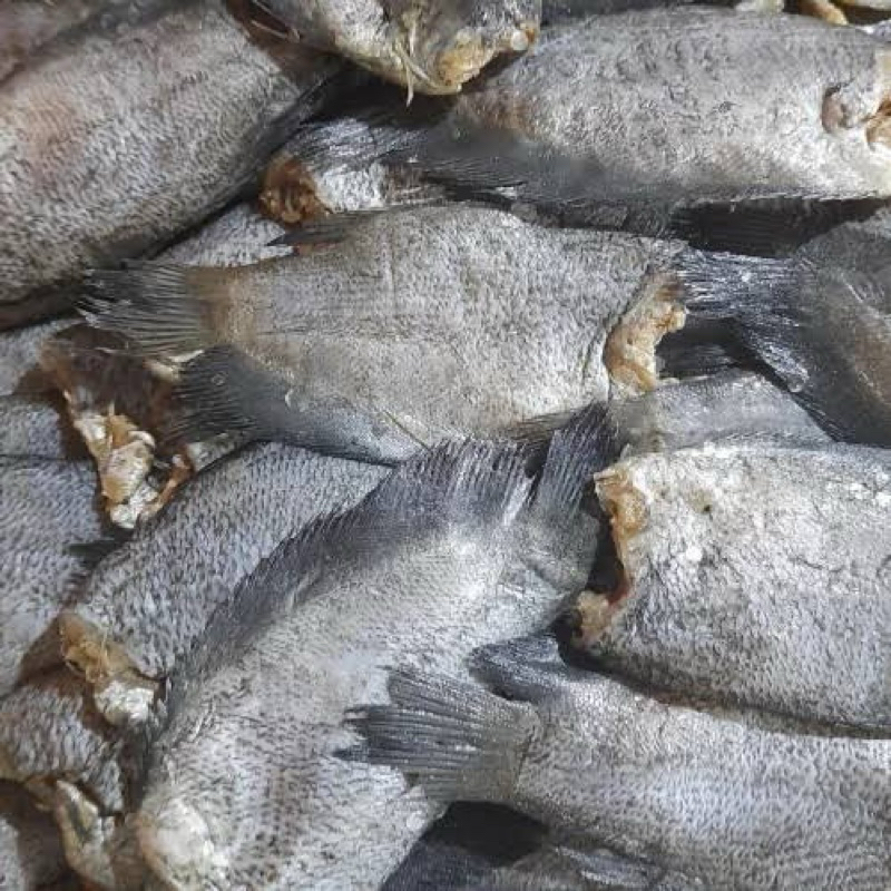 

Asin ikan sepat fresh 100gr