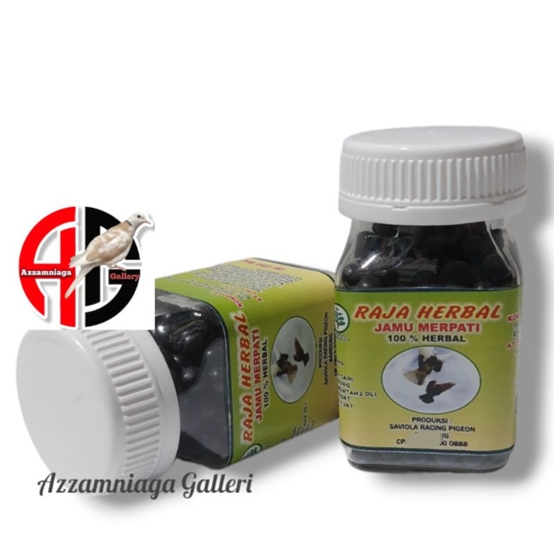 JAMU RAJA HERBAL MERPATI  JAMU MERPATI TINGGIAN  JUARA PRODUKSI  SAVIOLA