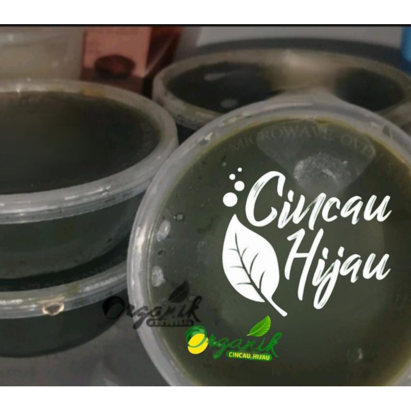 

Cincau Hijau organik