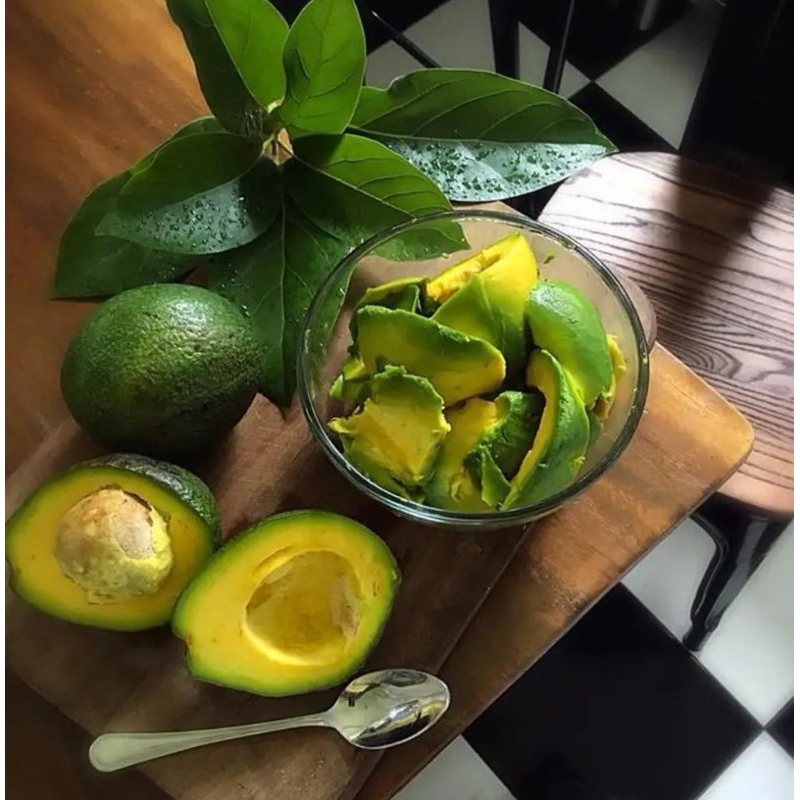 bibit alpukat Miki berbunga