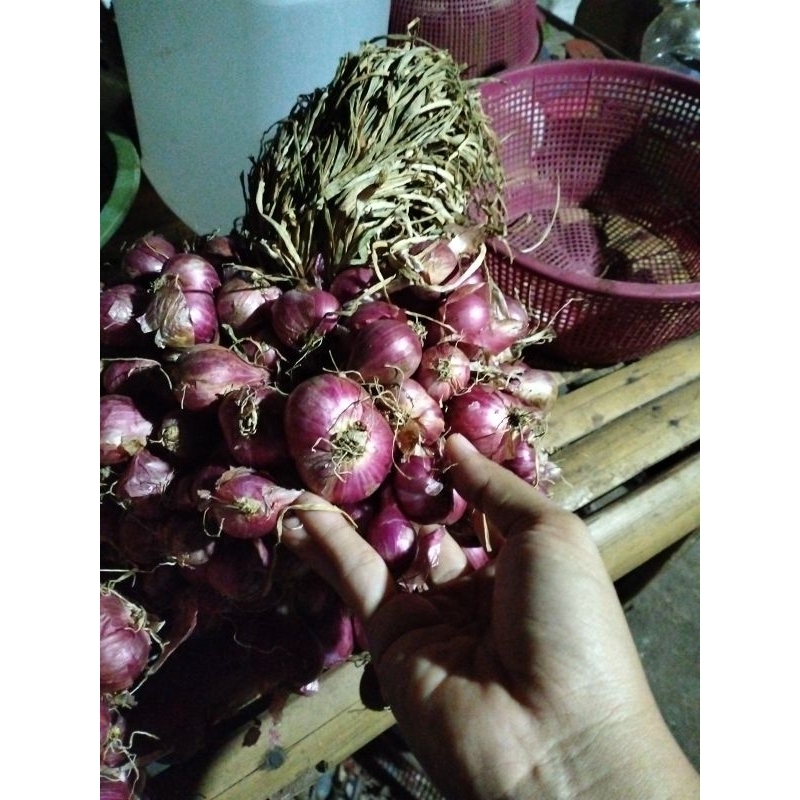 

Bawang Merah Probolinggo