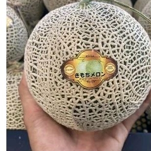 

Melon Kimoji Jepang Green Manis Premium 1,3 Kg