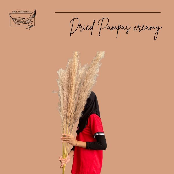 (SHP) 1 STALK PRESERVED PAMPAS JUMBO CREAMY / DRIED PAMPAS / FEATHER BULU / PAMPAS BULU / BUNGA JIWA