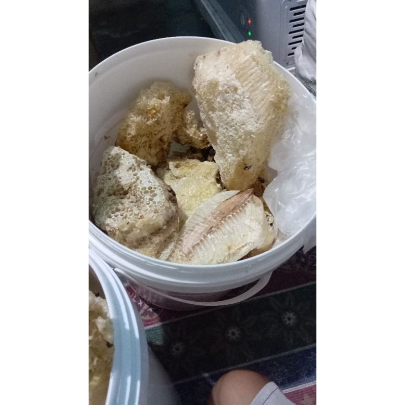 

beepolen madu
