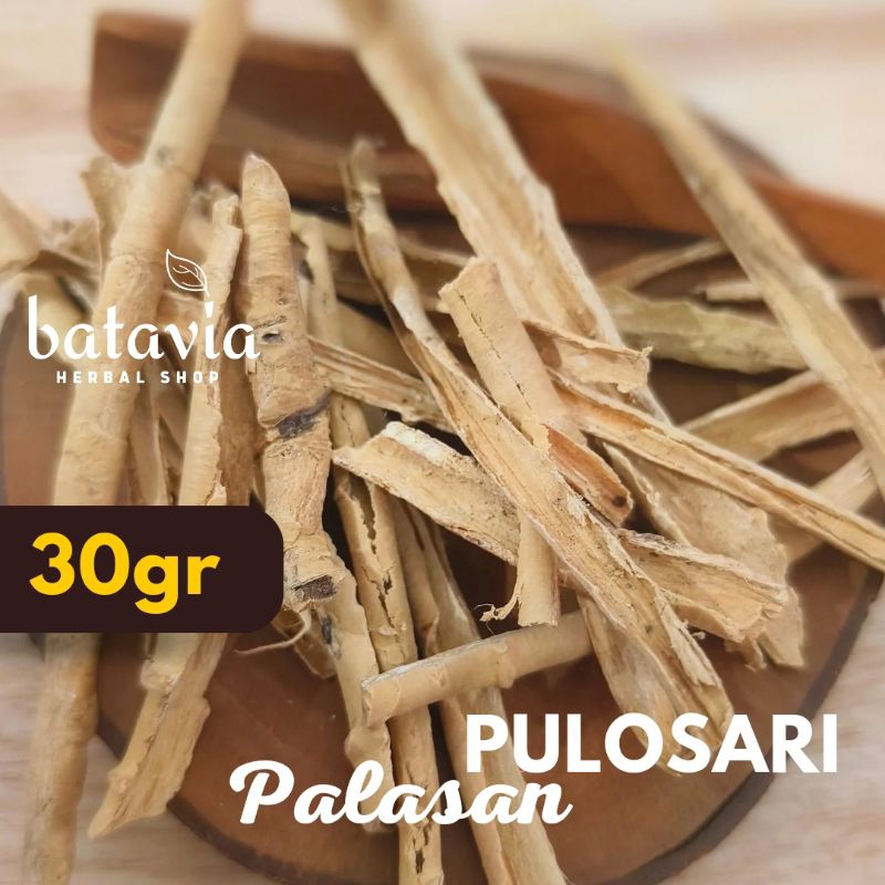 

Kayu Pulosari Palasan Pulasari Simplisia Herbal
