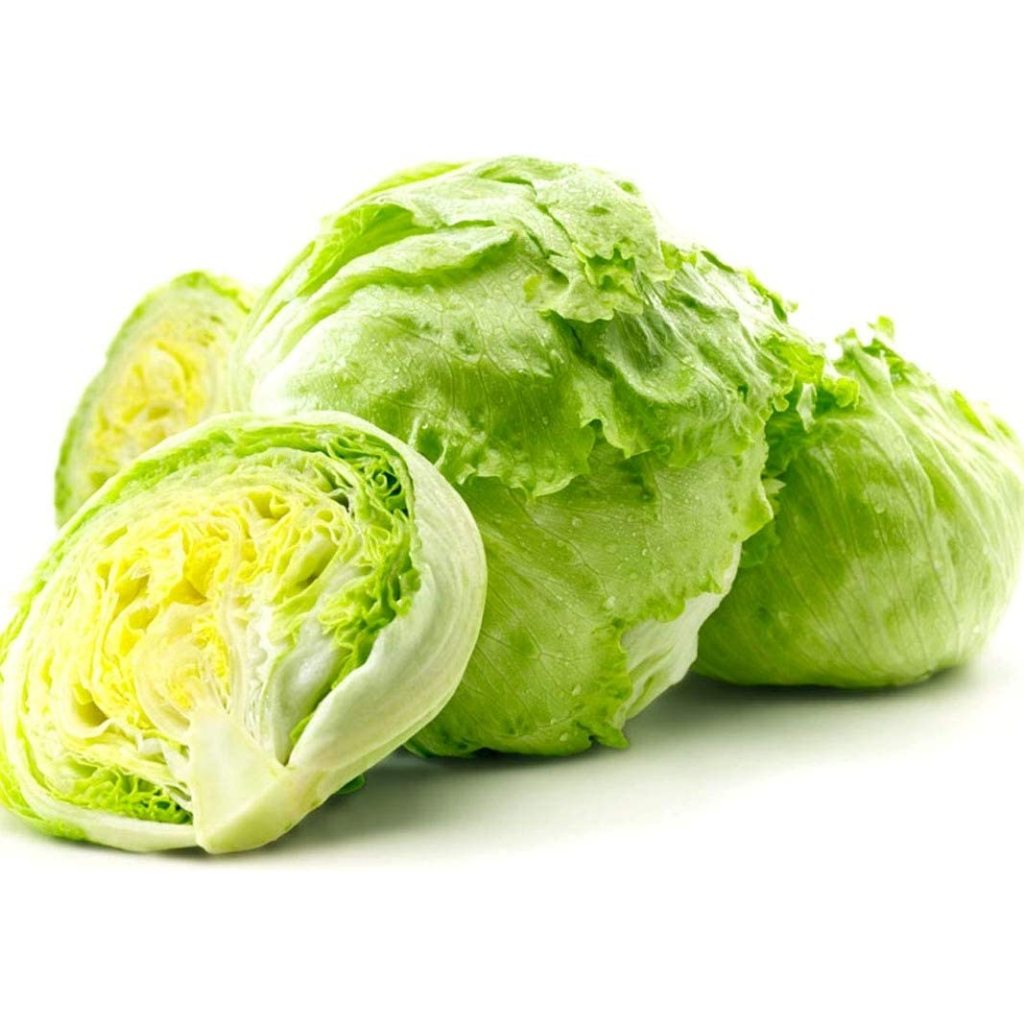Selada untuk kebab burger Head Lettuce 500 gr