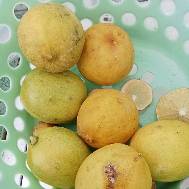 

jeruk lemon 1kg