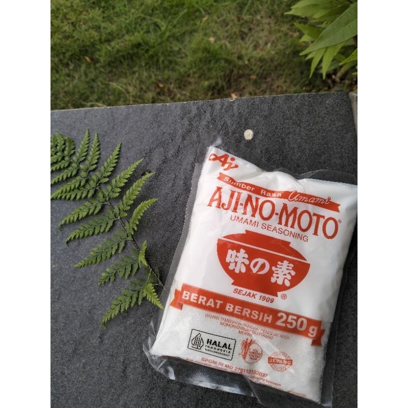 

AJINOMOTO 250gr