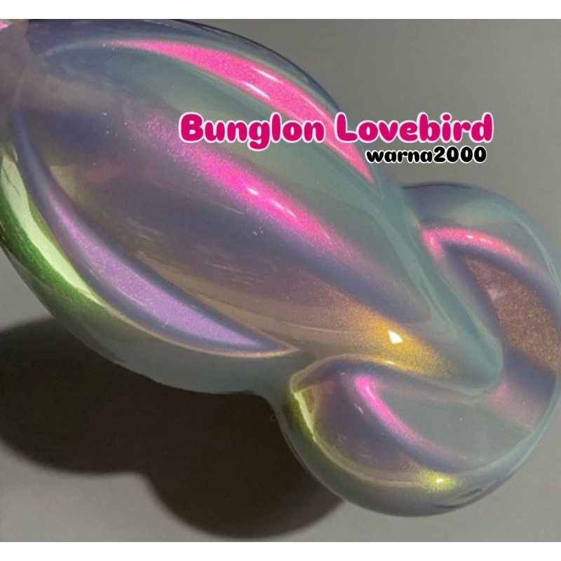 CAT BUNGLON LOVEBIRD
